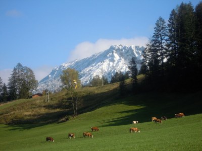 Holiday apartment Schwarzachen Alm - Haus Daniel - Environment photo 17