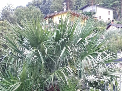 Holiday apartment Villa Romantica OG 1 - Environment photo 35