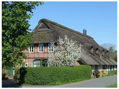 Holiday apartment "Auf dem Deich" - Holiday apartments Bremen in Bremen - Holiday apartment