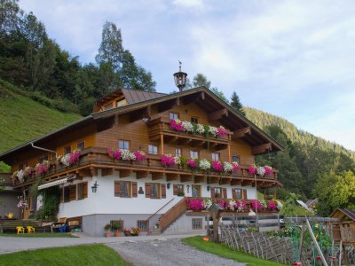 Farmhouse Apartment Fuxmoos in Uttendorf - Farmhouse