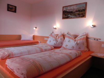 Farmhouse Apartment Fuxmoos - Features photo 11