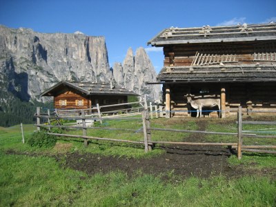 Apartment Stricker - Environment photo 22