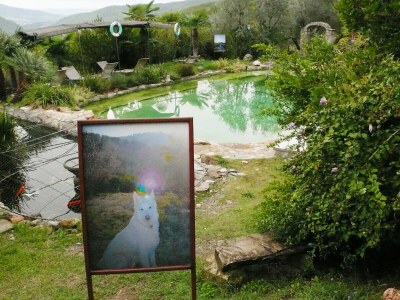Holiday house Casa Juliana - Outdoor photo 13
