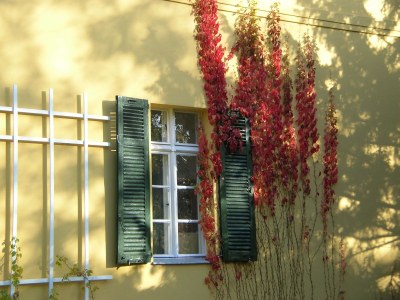 Villa Villa am Wendsee - Outdoor photo 12