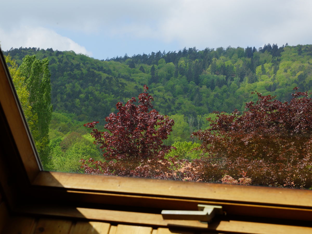 Holiday apartment Les Petits Vignerons - Outdoor photo 3