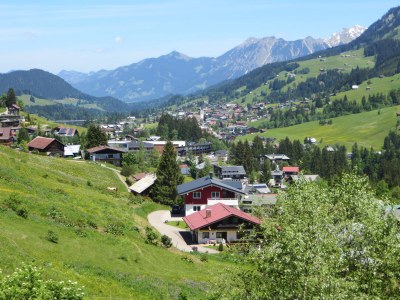 Holiday apartment Widderstein in the guesthouse on the mountain - Environment photo 12