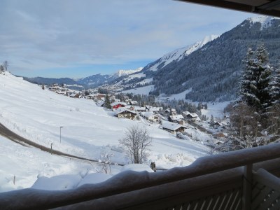Holiday apartment Widderstein in the guesthouse on the mountain - Environment photo 13