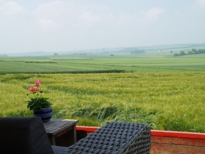 Holiday house Maifelder Uhlenhorst - Outdoor photo 12