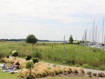 Holiday house Ufer 7 - Environment photo 35
