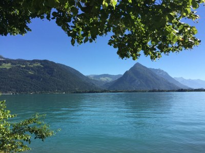 Holiday apartment Haus am See II - Outdoor photo 9