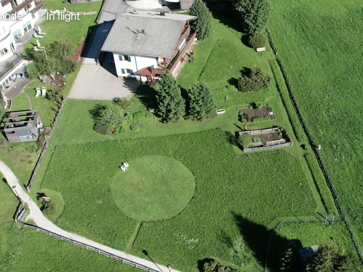 Holiday apartment Forelle "Large garden-flat" - Outdoor photo 4