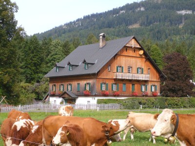 Holiday apartment The 'Traunmühle' - Outdoor photo 4