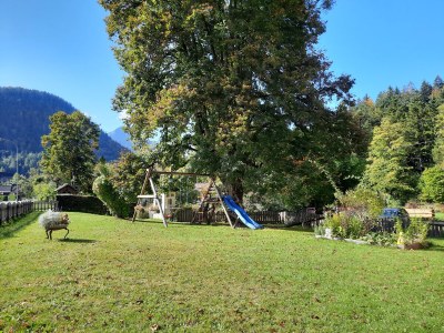 Holiday apartment The 'Traunmühle' - Outdoor photo 8