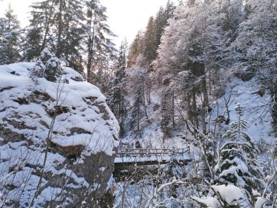 Holiday house Wilpernig - Environment photo 26
