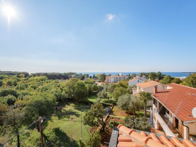 Holiday apartment Gulic 2 - Outdoor photo 11