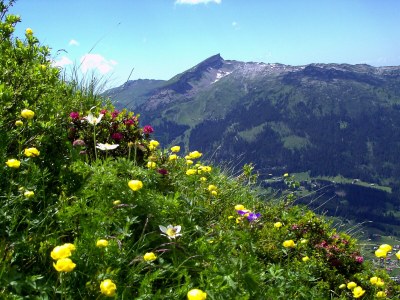 Holiday apartment Schuler - Outdoor photo 9