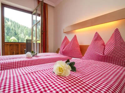 Holiday apartment Bründlinger - Features photo 15