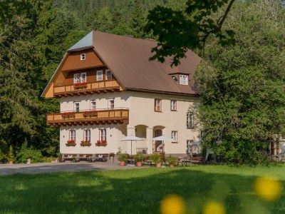 Holiday apartment Landhouse Heimat in Ramsau am Dachstein - Holiday apartment
