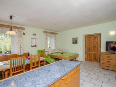Holiday apartment KitzbÃ¼heler Horn - Features photo 6