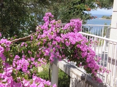 Apartment Martina - Outdoor photo 8