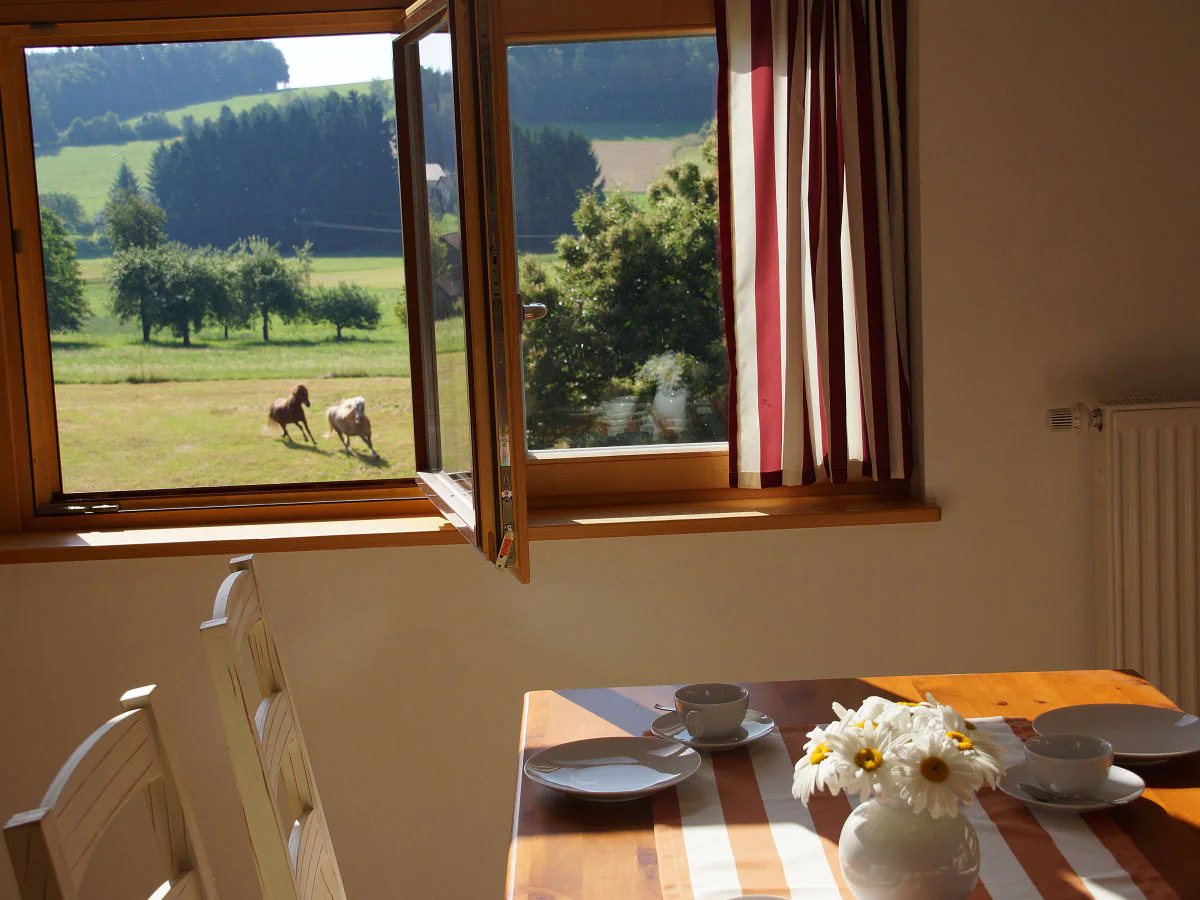Holiday apartment Panoramablick Höllbachtal