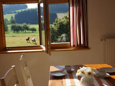 Holiday apartment Panoramablick Höllbachtal in Rettenbach - Holiday apartment