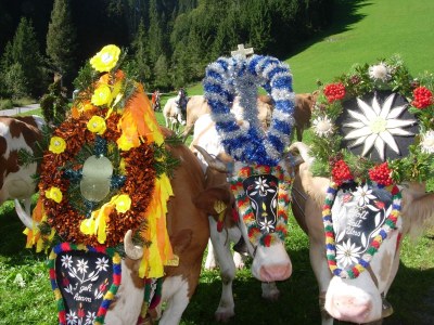 Apartment Bergjuwel Tirol - Environment photo 35