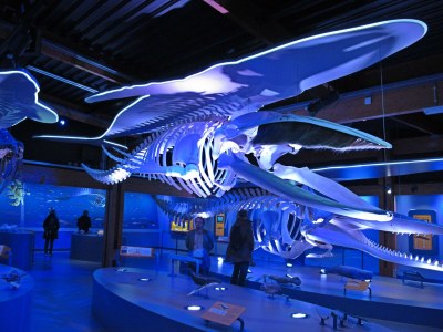 Apartment de Vries 2 - Environment photo 20