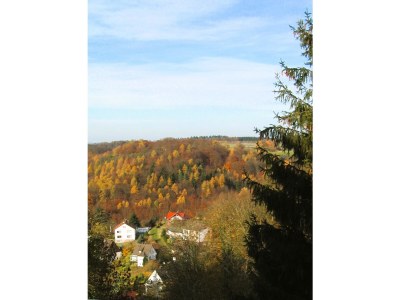 Holiday apartment Cheap app. in beautiful area near Edersee - Features photo 24