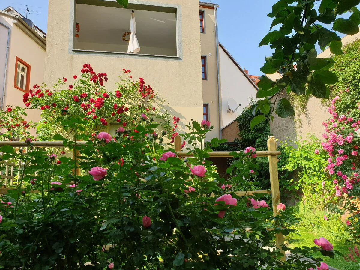 Holiday apartment Domschatz