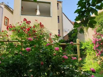 Holiday apartment Domschatz in Naumburg - Holiday apartment