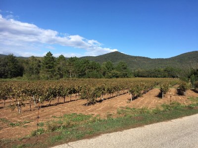 Holiday house Castel dans le vigne - Environment photo 30