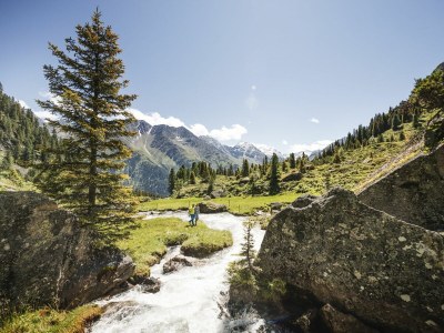 Holiday house Stubaier Glacier - Forest - Environment photo 32
