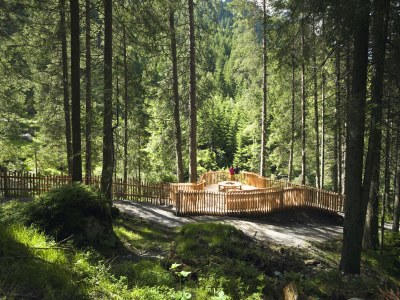 Holiday house Stubaier Glacier - Forest - Environment photo 36
