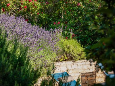 Holiday house In the south of France, La Bastide - Outdoor photo 12