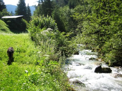 Holiday apartment "Sternhimmel" Spinuserhof - Environment photo 30