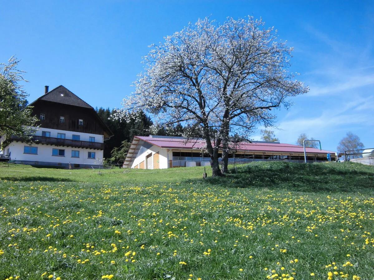 Holiday apartment Ursprung
