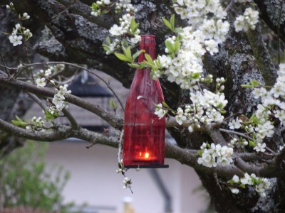 Holiday apartment "Josefine" near Trier (Germany)(7km) - Outdoor photo 7