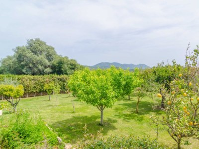 Finca Es Rafal de Baix - Environment photo 53