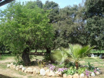 Finca Sa Figuera Blanca - Outdoor photo 20