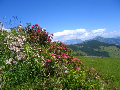 Holiday apartment Schatzberg im Haus Moosanger - Environment photo 16