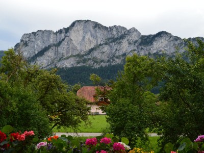Holiday apartment Widlroither - Outdoor photo 8