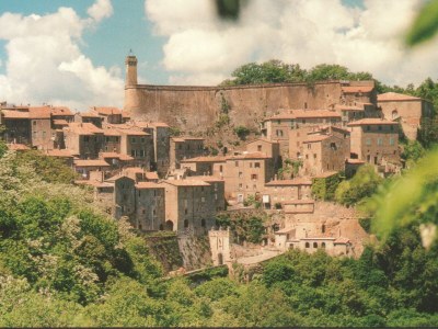 Holiday apartment La Cantinaccia, Green House - Environment photo 21