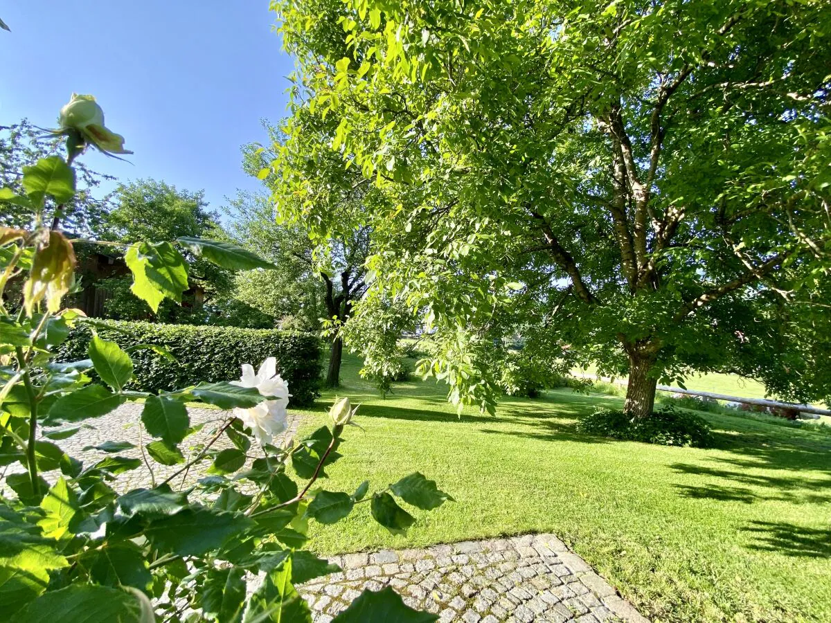 Holiday apartment Organic farm "Elfenspiegel"