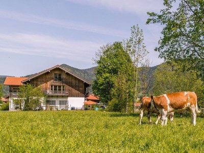 Holiday apartment Alpen Chalet "Alte Talstation" - Outdoor photo 7