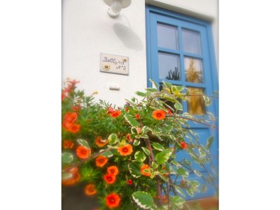 Holiday house Bellana 2 - Outdoor photo 4