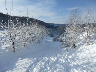 Holiday house Bellana 2 - Environment photo 16