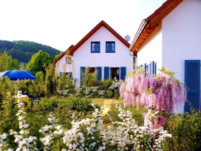 Holiday house Bellana 4 in Losheim am See - Holiday house