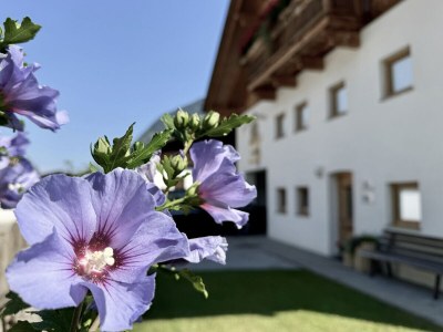 Apartment Landhaus Waldhart - Outdoor photo 6