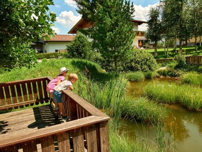 Holiday apartment in der Sonnberg Ferienanlage - Environment photo 39